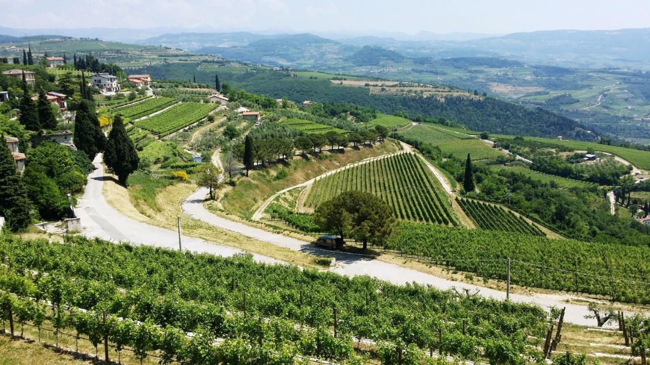 Cris Apartments SantʼAmbrogio di Valpolicella Kültér fotó